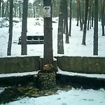 Fuente Del Pino Canon De Rio Lobos Landsted San Leonardo de Yagüe