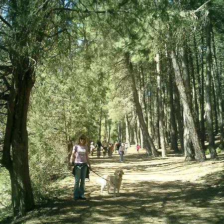 Fuente Del Pino Canon De Rio Lobos * San Leonardo de Yagüe