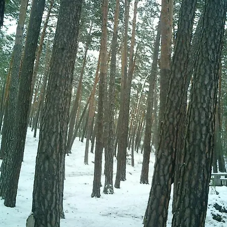 Fuente Del Pino Canon De Rio Lobos Séjour à la campagne