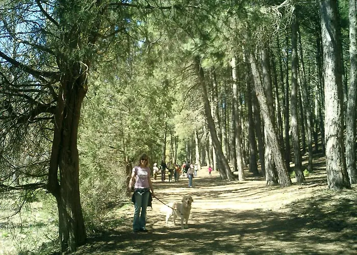 Fuente Del Pino Canon De Rio Lobos * San Leonardo de Yagüe