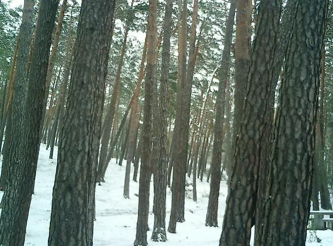 Fuente Del Pino Canon De Rio Lobos Hétvégi ház